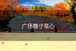 广场舞寸草心