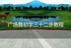广场舞初学三十二步教程
