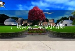 广场舞爱上草原小情郎