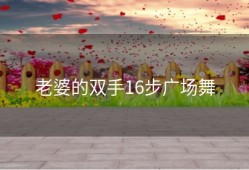 老婆的双手16步广场舞