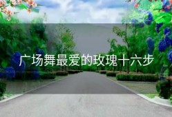 广场舞最爱的玫瑰十六步