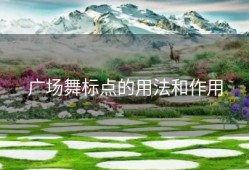 广场舞标点的用法和作用