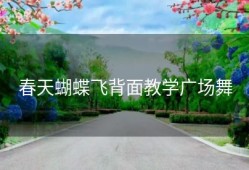 春天蝴蝶飞背面教学广场舞