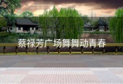 蔡禄芳广场舞舞动青春