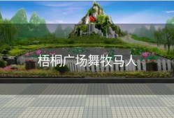 梧桐广场舞牧马人