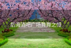后海酒吧广场舞舞之恒