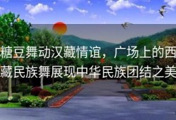 糖豆舞动汉藏情谊，广场上的西藏民族舞展现中华民族团结之美