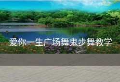 爱你一生广场舞鬼步舞教学