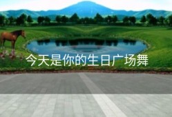 今天是你的生日广场舞