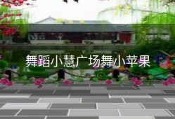 舞蹈小慧广场舞小苹果