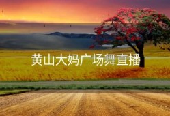 黄山大妈广场舞直播