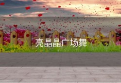 亮晶晶广场舞