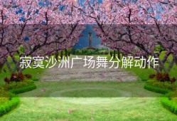 寂寞沙洲广场舞分解动作