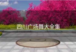 四川广场舞大全集