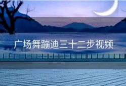 广场舞蹦迪三十二步视频