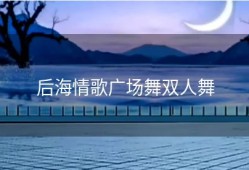 后海情歌广场舞双人舞