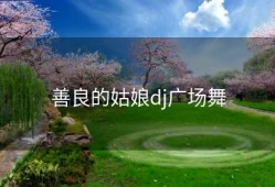 善良的姑娘dj广场舞
