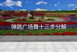 弹跳广场舞十三步分解