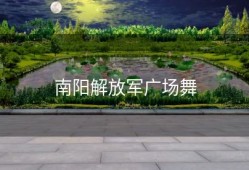 南阳解放军广场舞