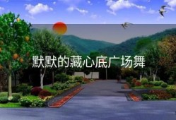 默默的藏心底广场舞