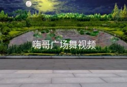 嗨哥广场舞视频