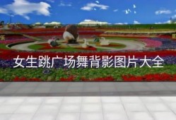 女生跳广场舞背影图片大全