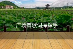 广场舞歌词挥挥手