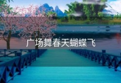 广场舞春天蝴蝶飞