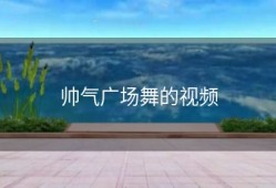 帅气广场舞的视频