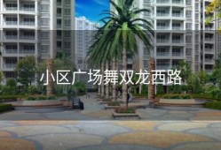 小区广场舞双龙西路