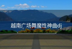 越南广场舞魔性神曲dj