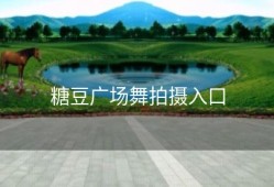 糖豆广场舞拍摄入口