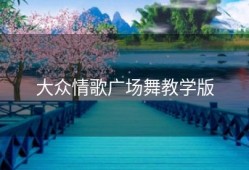 大众情歌广场舞教学版