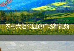 农村大姐公园跳广场舞视频