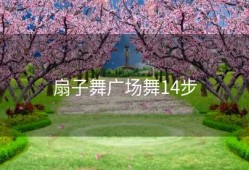 扇子舞广场舞14步