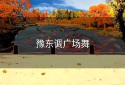 豫东调广场舞