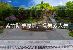 紫竹院草原情广场舞双人舞