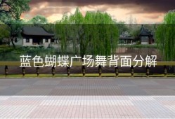 蓝色蝴蝶广场舞背面分解