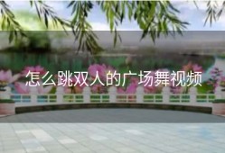 怎么跳双人的广场舞视频