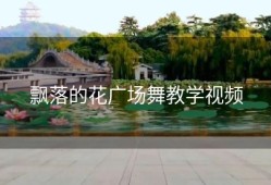 飘落的花广场舞教学视频