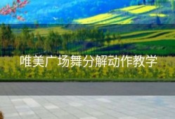 唯美广场舞分解动作教学