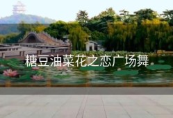糖豆油菜花之恋广场舞