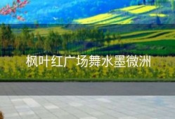 枫叶红广场舞水墨微洲