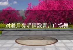对着月亮唱情歌青儿广场舞