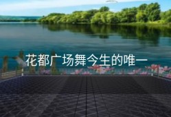 花都广场舞今生的唯一