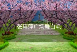 张惠萍广场舞白毛