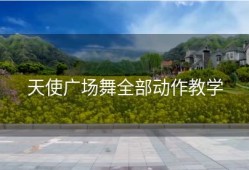 天使广场舞全部动作教学