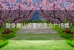 健身舞山谷里的思念广场舞