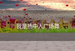 我是扬中人广场舞