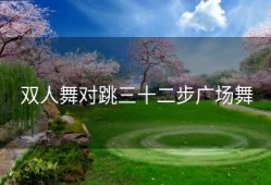 双人舞对跳三十二步广场舞